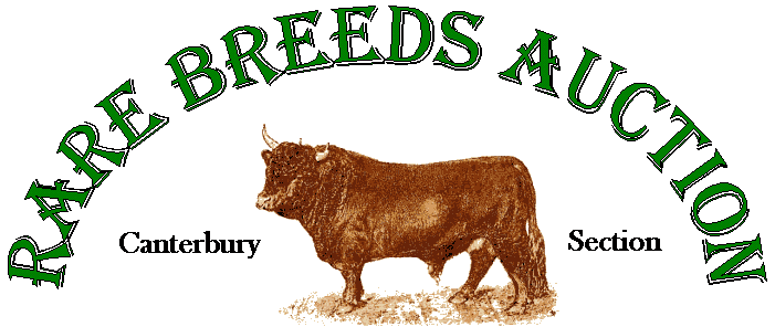 Rare Breeds Auction. Dexter bull 'Paradox' 1889